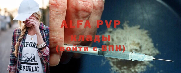 амф Пестово