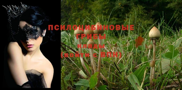 не бодяженный Переславль-Залесский