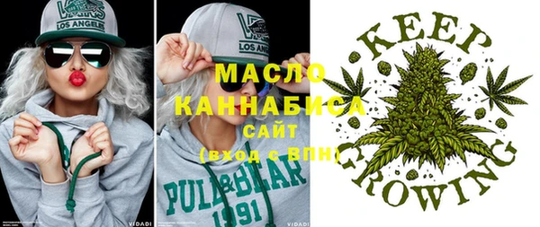 амф Пестово