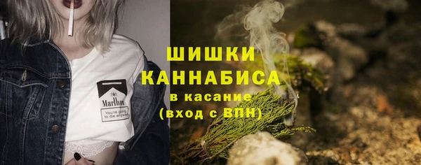 амф Пестово