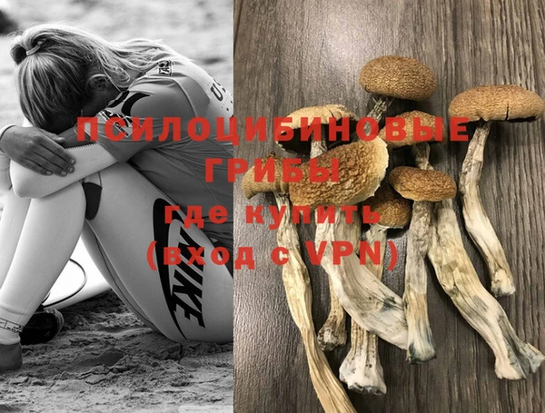 не бодяженный Переславль-Залесский